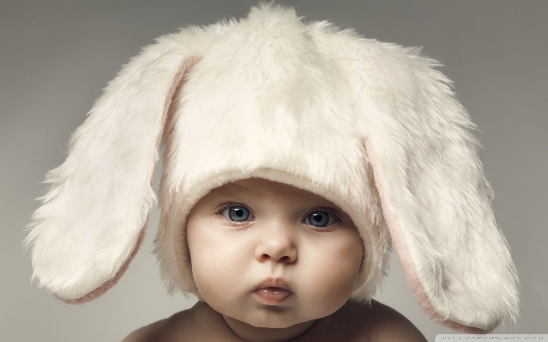 泰州正规捐卵机构试管婴儿基础卵泡